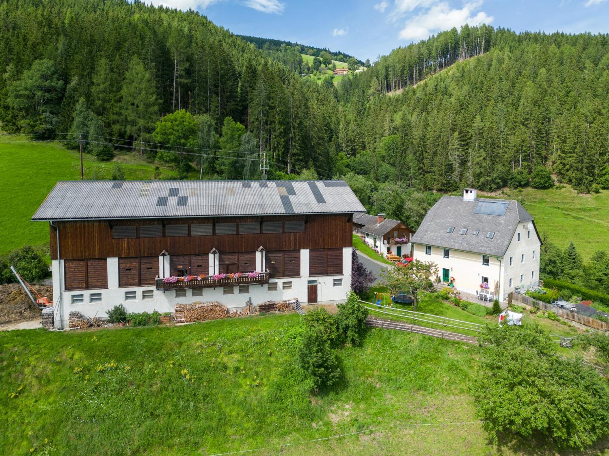 Hochfelner-Prutti - Stockerhof Villa Sankt Marein bei Knittelfeld Exterior foto